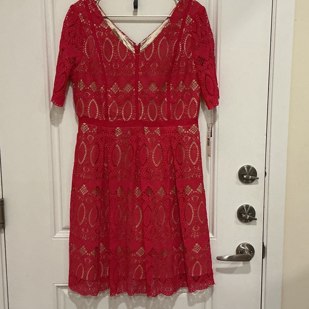 ANTONIO MELANI Dark Pink Lace V-Neck Fit & Flare Dress Elegant Sunday